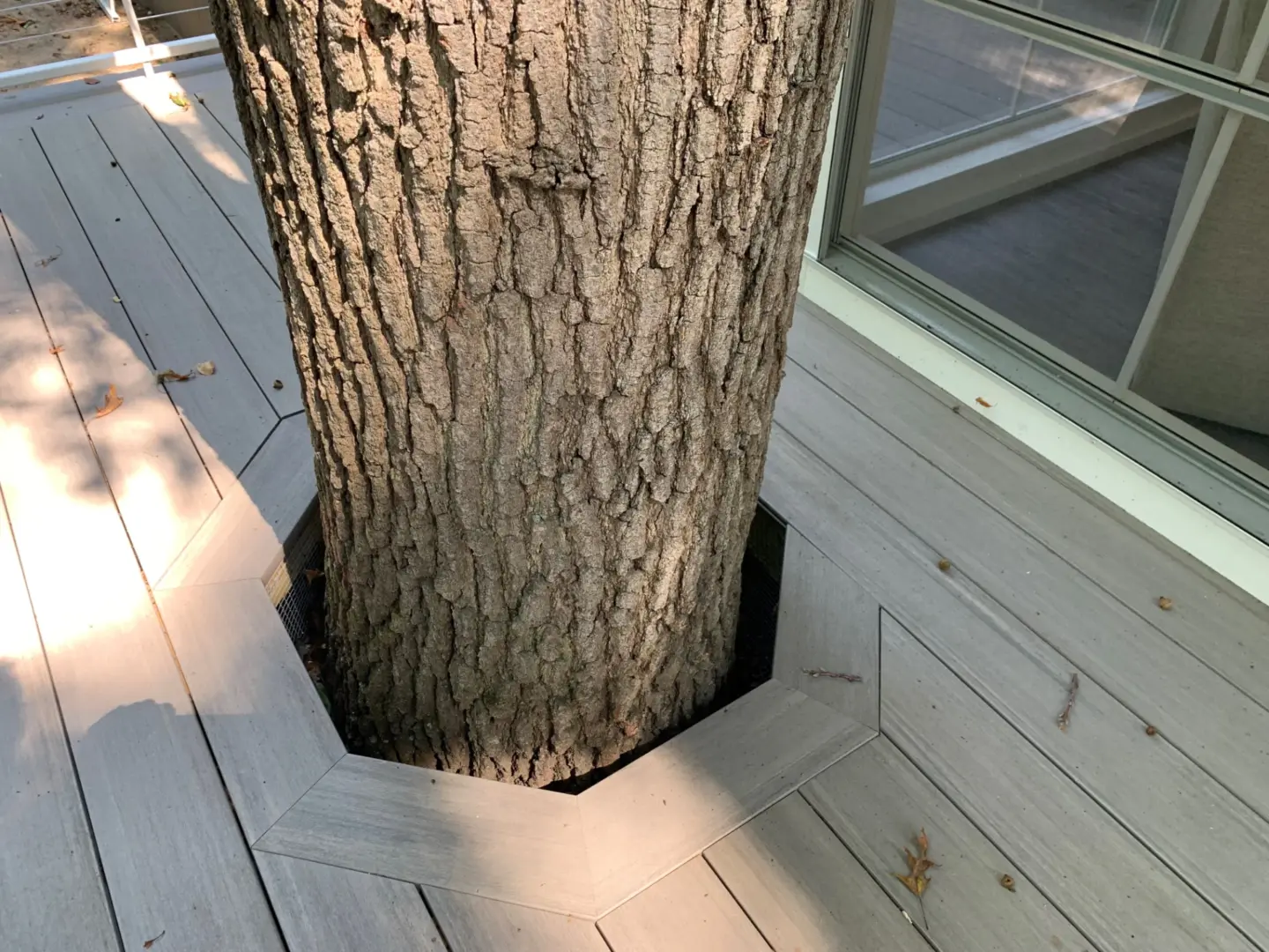 71 tree surrounded by TimberTech Coastline cellular PVC deck boards